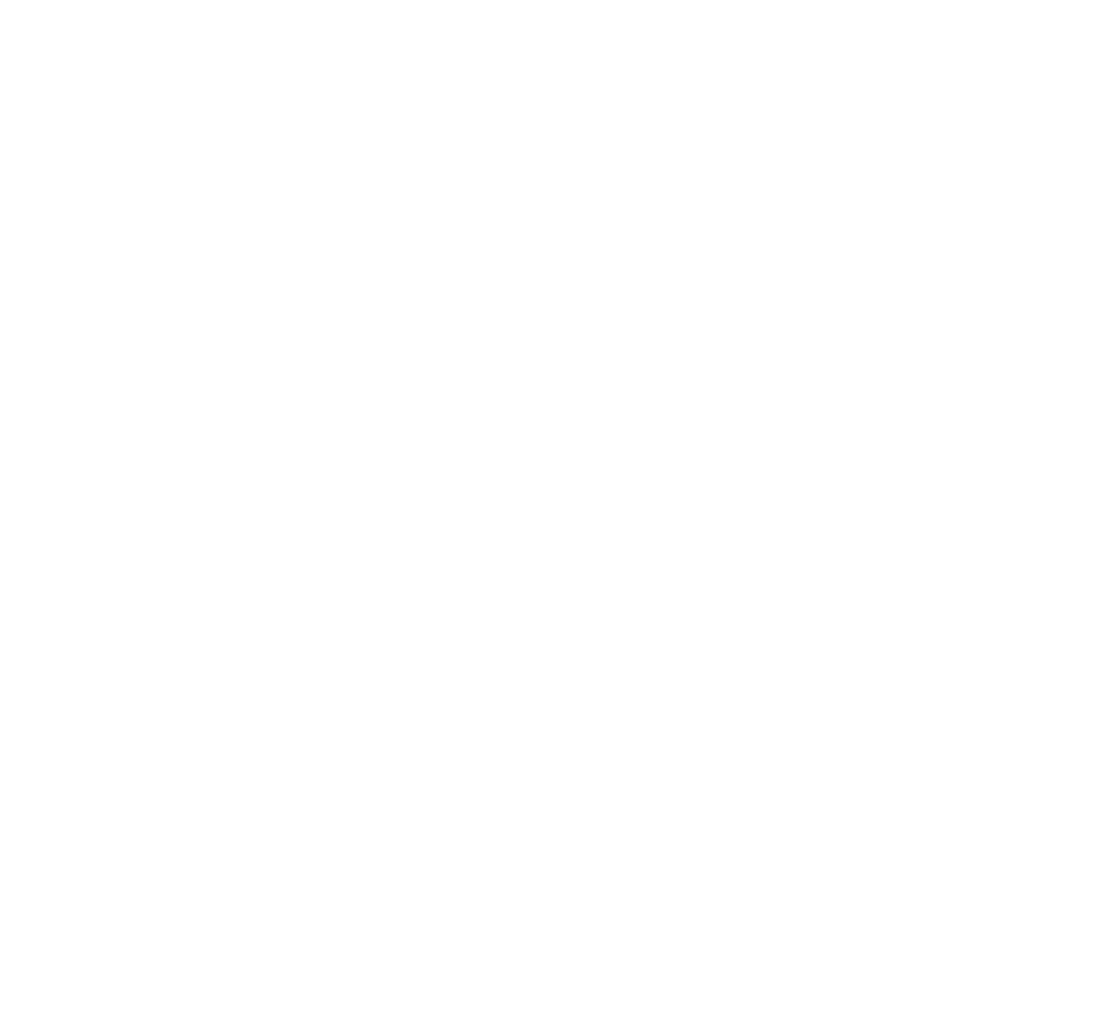 Mike Vanhorick Toiture – Couvreur zingueur à Rillieux-la-Pape